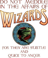 Do Not Meddle in the Affairs of Wizards Kids Tee - Celtic Design T-Shirts