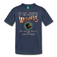 Do Not Meddle in the Affairs of Wizards Kids Tee